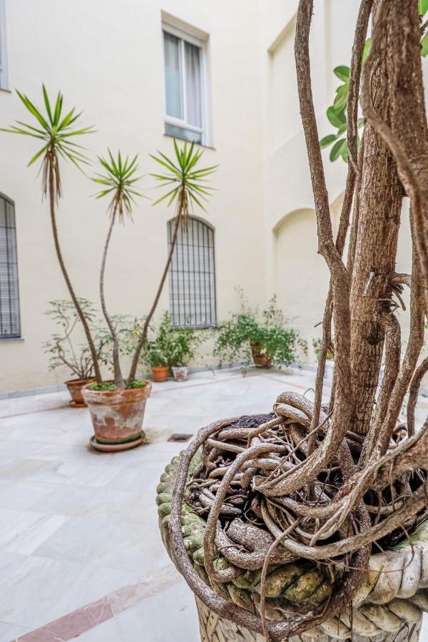 Chic&Luminoso-Wifiac/Elegant Apt In Salvador 2 Br إشبيلية المظهر الخارجي الصورة